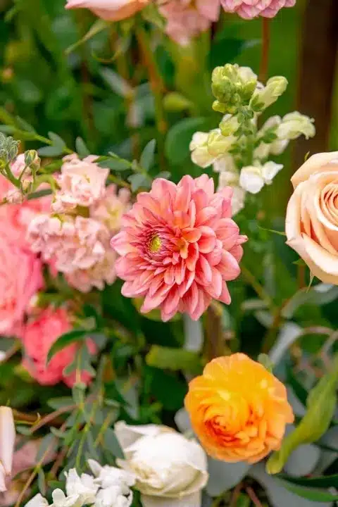 flowers-2